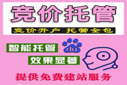 某某SEM团队成功提升网站流量与转化率的实战经验